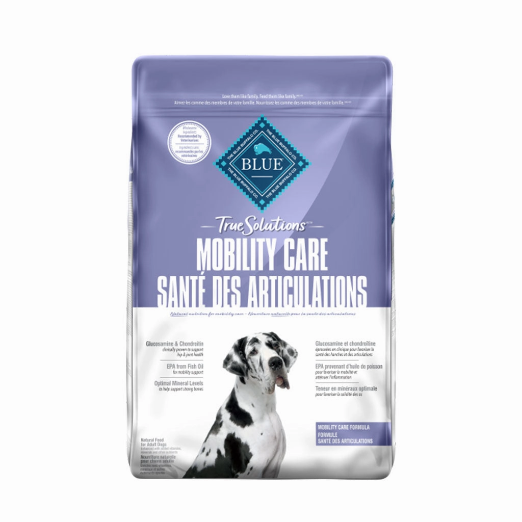 Mobility Care Dog