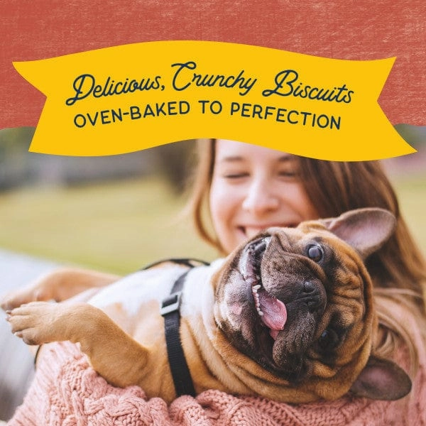 Natural Balance Crunchy Biscuits With Real Salmon Recipe Dog Treats, 14oz