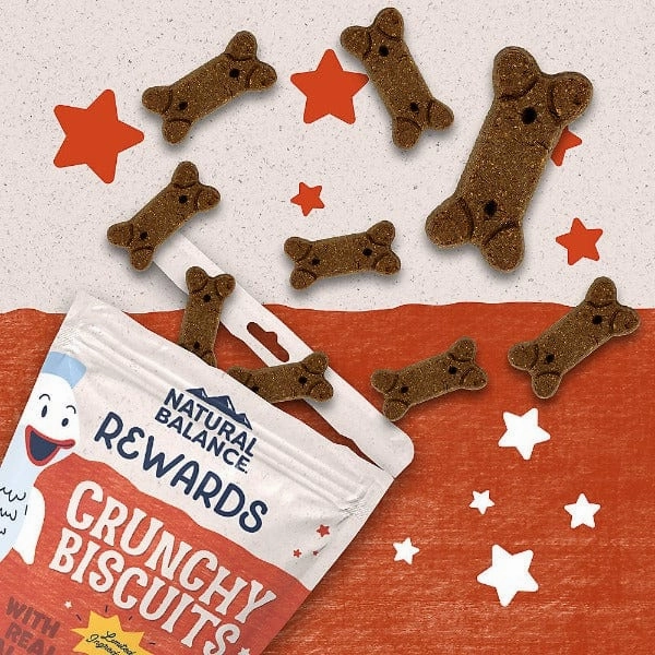 Natural Balance Crunchy Biscuits With Real Salmon Recipe Dog Treats, 14oz