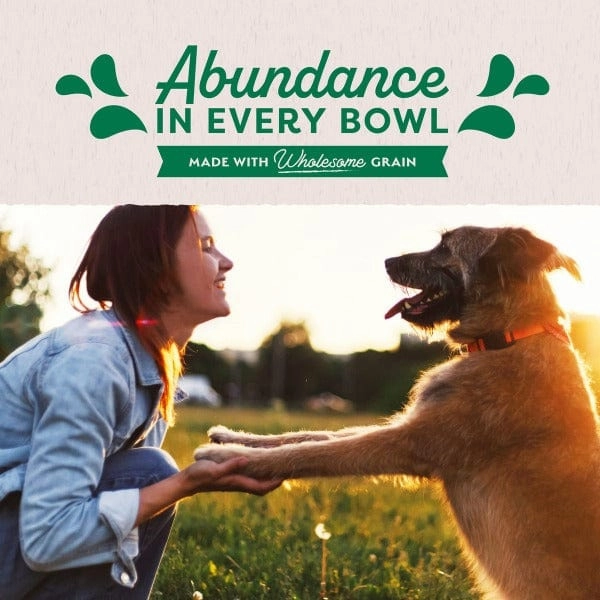 Natural Balance Original Ultra Lamb Recipe Pat Canned Dog Food