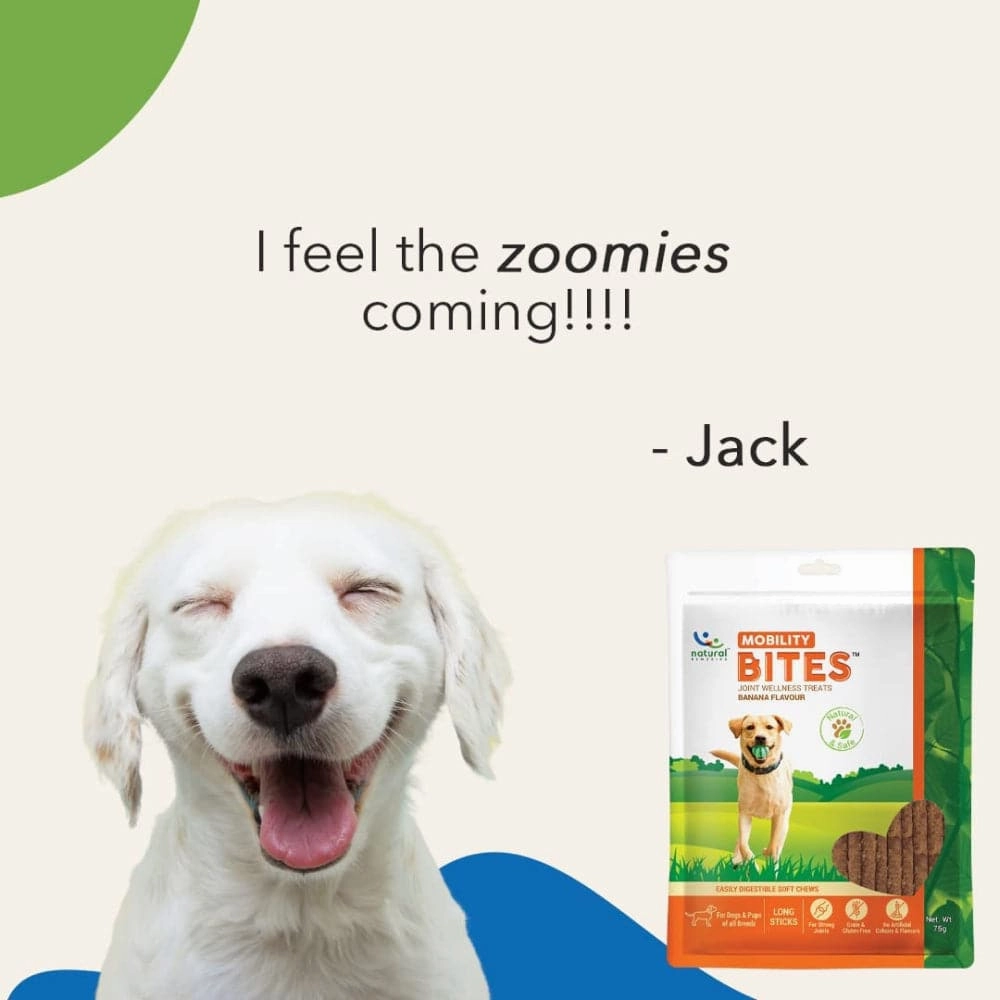 Natural Remedies Mobility Bites Chew Treats for Dogs