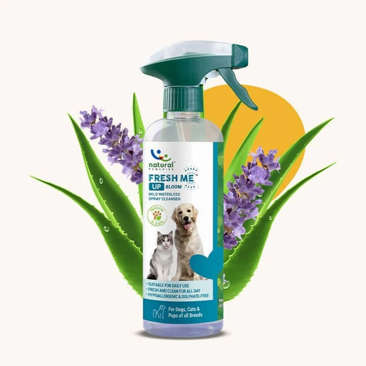 Natural Remedies Natgut Digestive Tablets & Fresh Me Up Bloom Dry Shampoo Dogs & Cats Combo