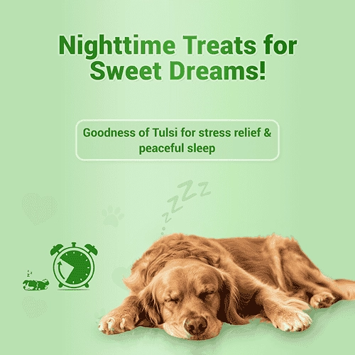 Natural Remedies Treat O'Clock Hemp with Chicken Meat Treats for Dogs