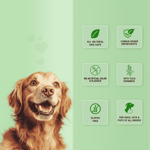 Natural Remedies Treat O'Clock Hemp with Chicken Meat Treats for Dogs