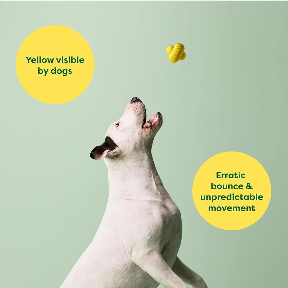 Natural Rubber Dog Fetch Toy