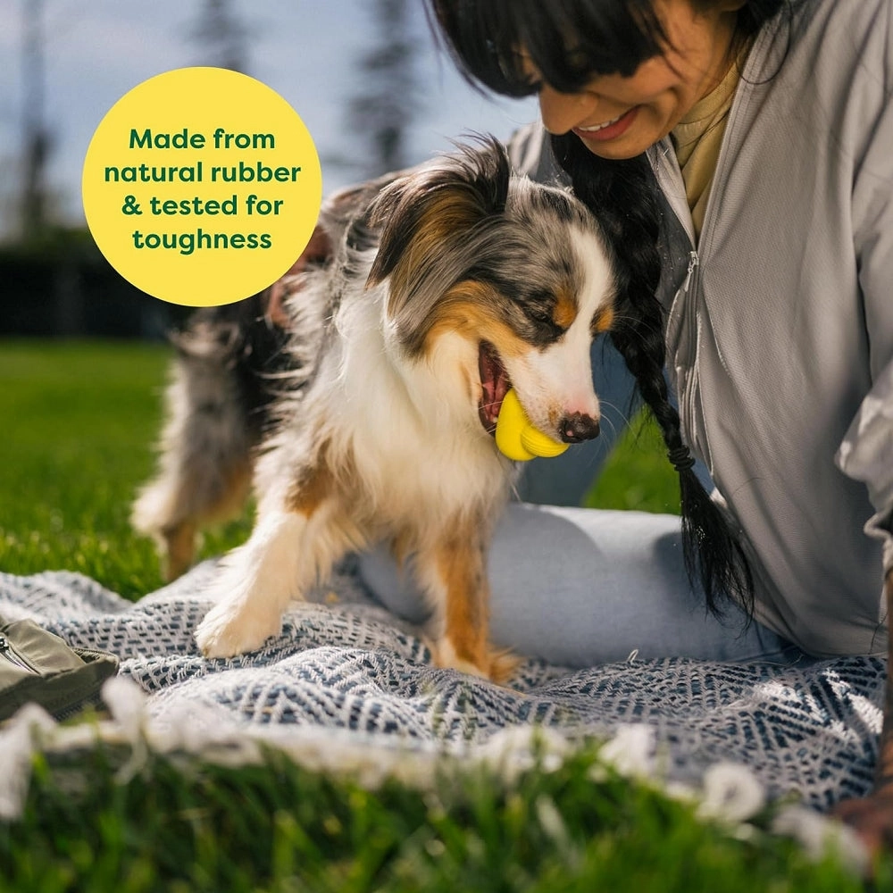 Natural Rubber Dog Fetch Toy