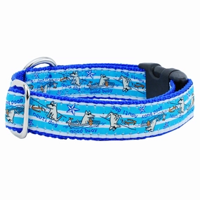 Nauti Dog/Good Buoy Teddy The Dog Essential 1" Dog Collar