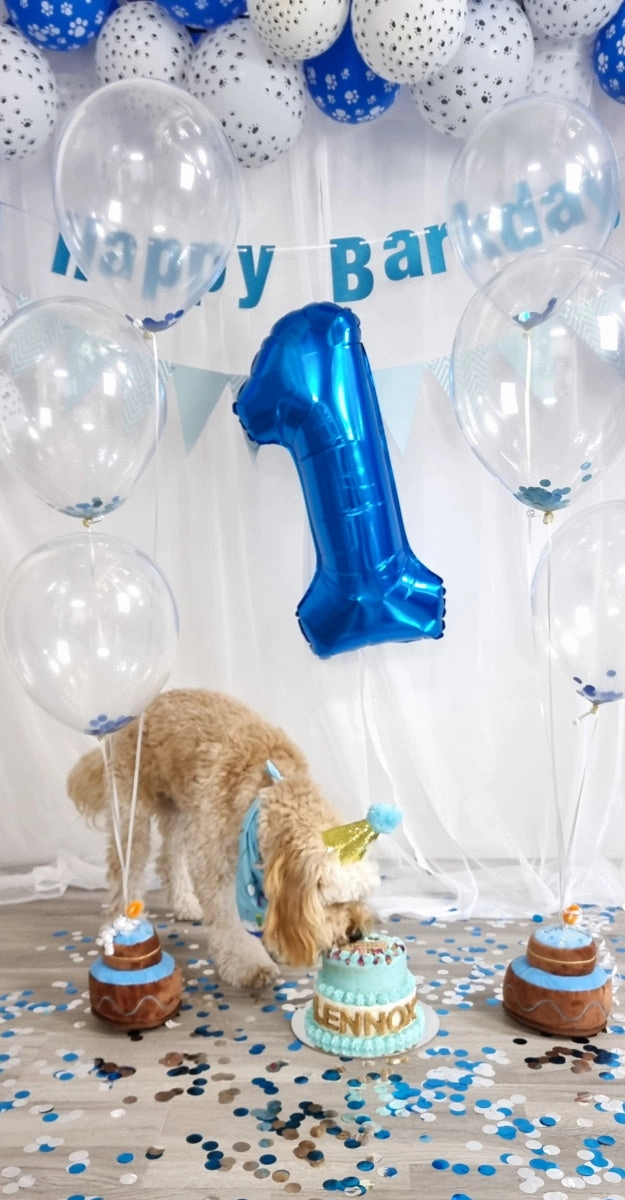 Number & Star Foil Balloon Set - Blue