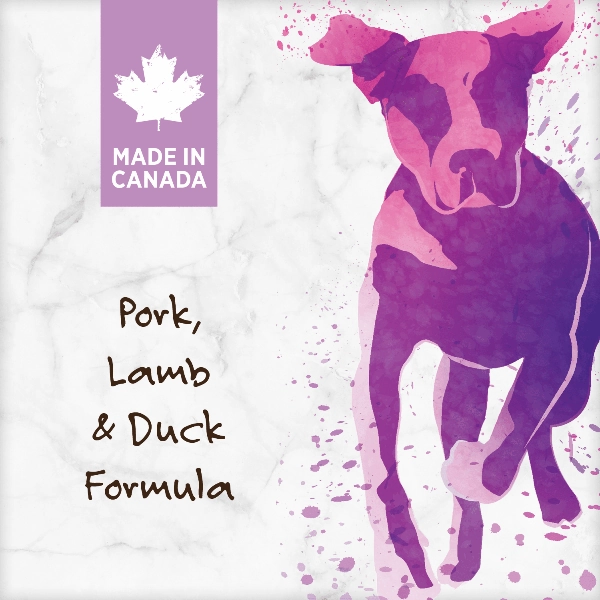 Nutrience Grain Free Pork, Lamb & Duck Dog Food, 10kg
