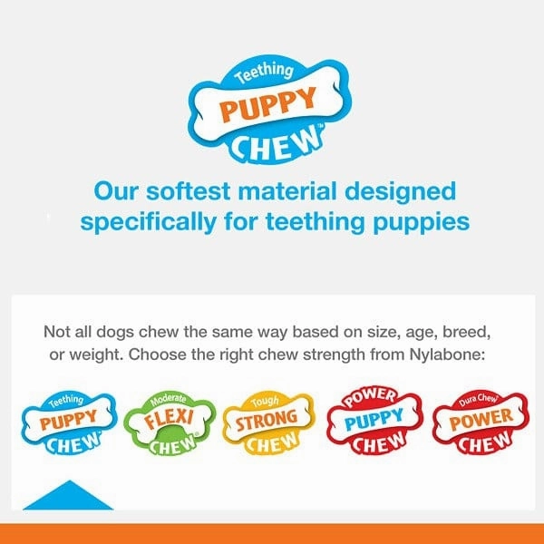 Nylabone Puppy Ring Bone Teething Toy for Puppies