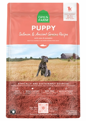 Open Farm Ancient Grains Salmon Puppy Dry Dog Food