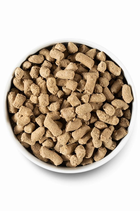 Open Farm Pasture-Raised Lamb Freeze-Dried Morsels Dog Food