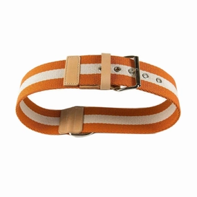 Orange And Cream Tape XLarge Dog Collar