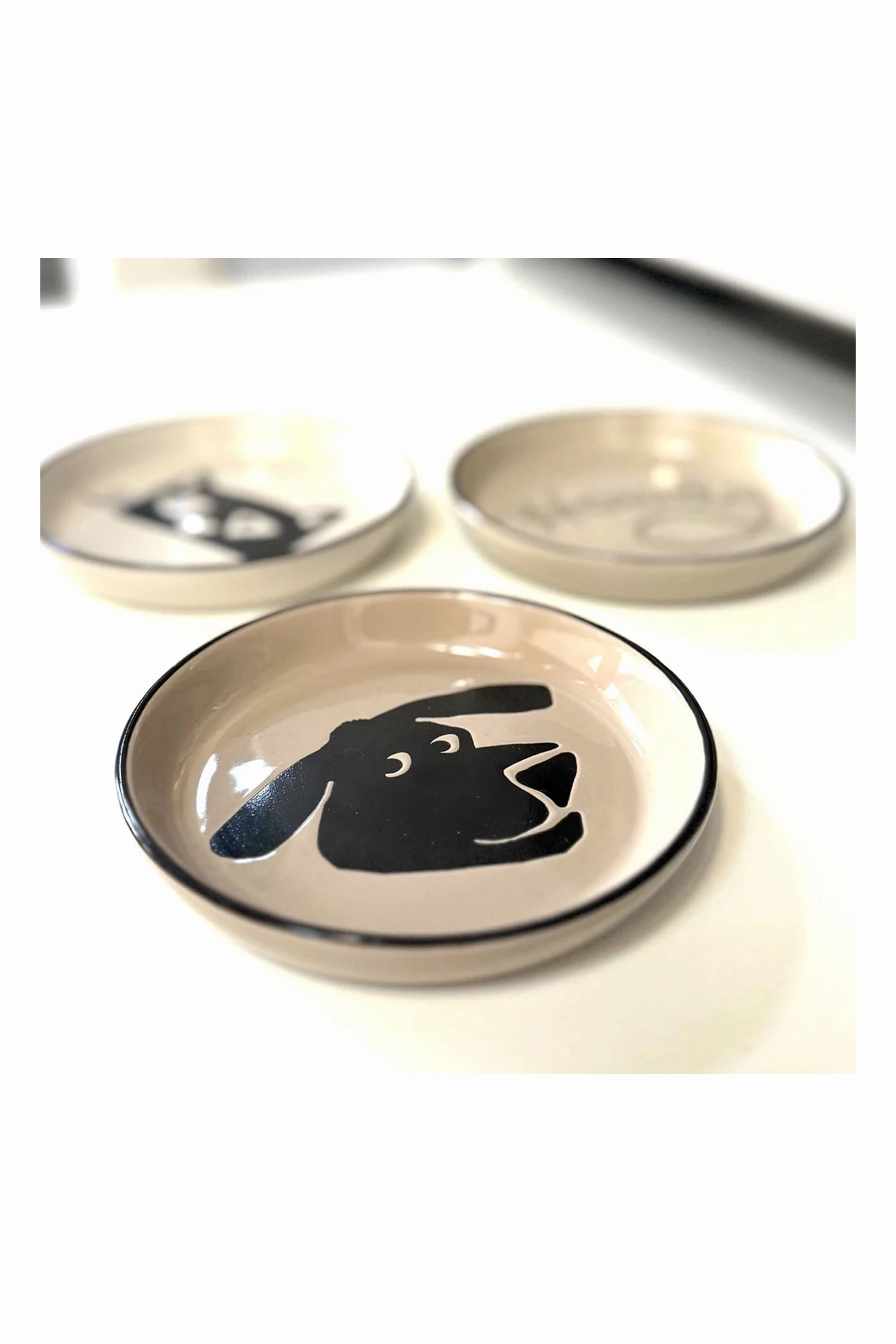 Ore Pet Camp Pet Coaster