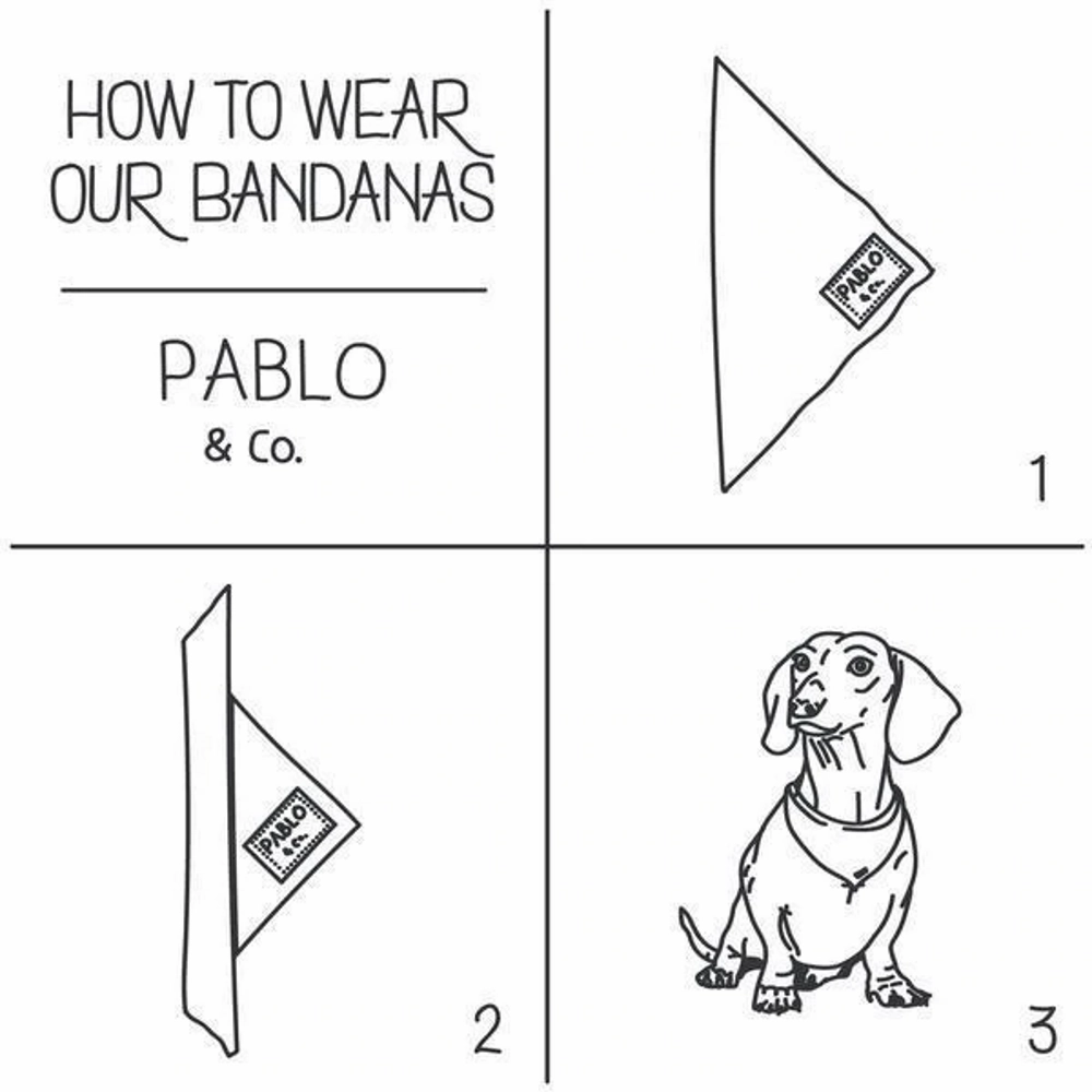 Pablo & Co Party Dawgs Bandana