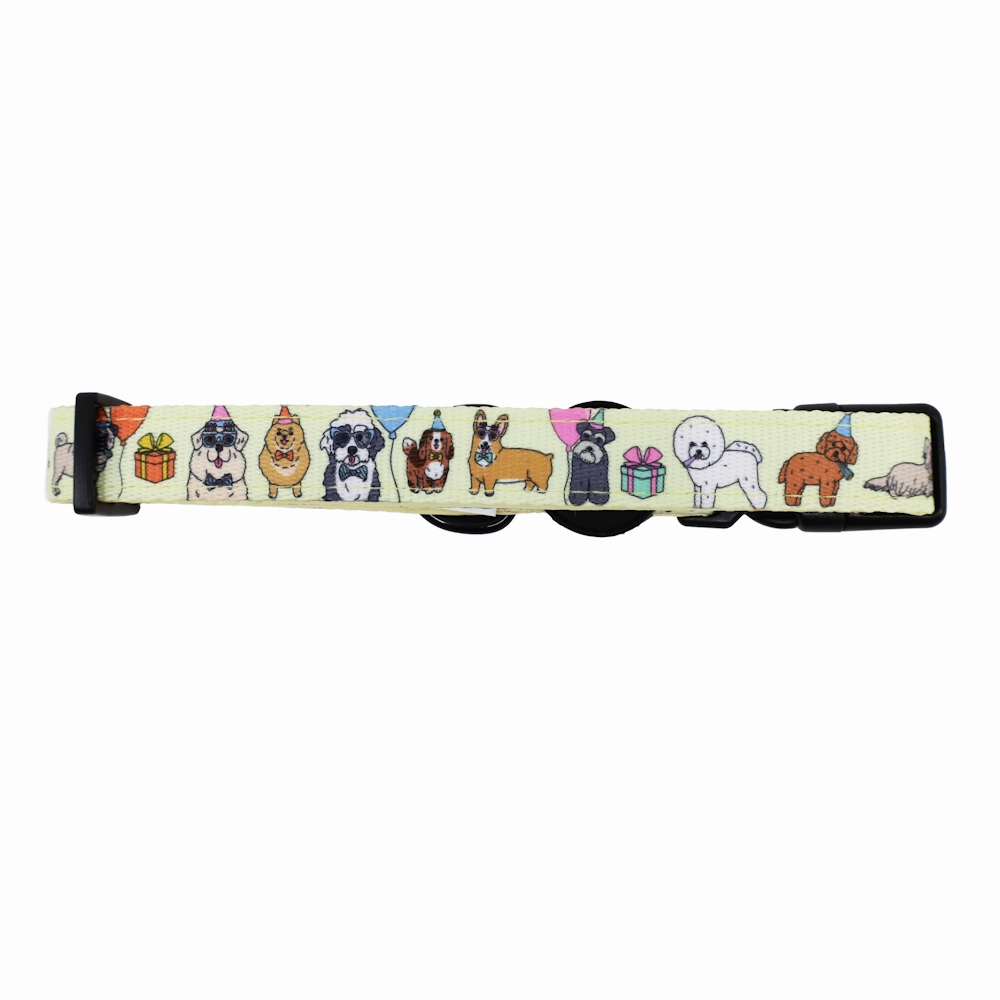 Pablo & Co Party Dawgs Dog Collar