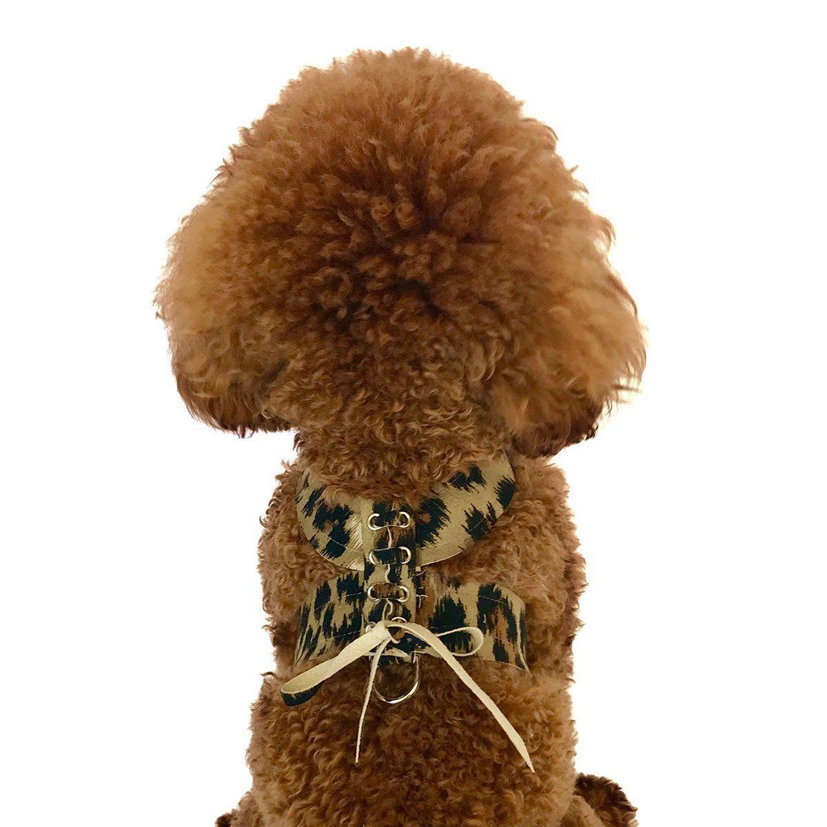 Parisian Corset Dog Harness Leopard