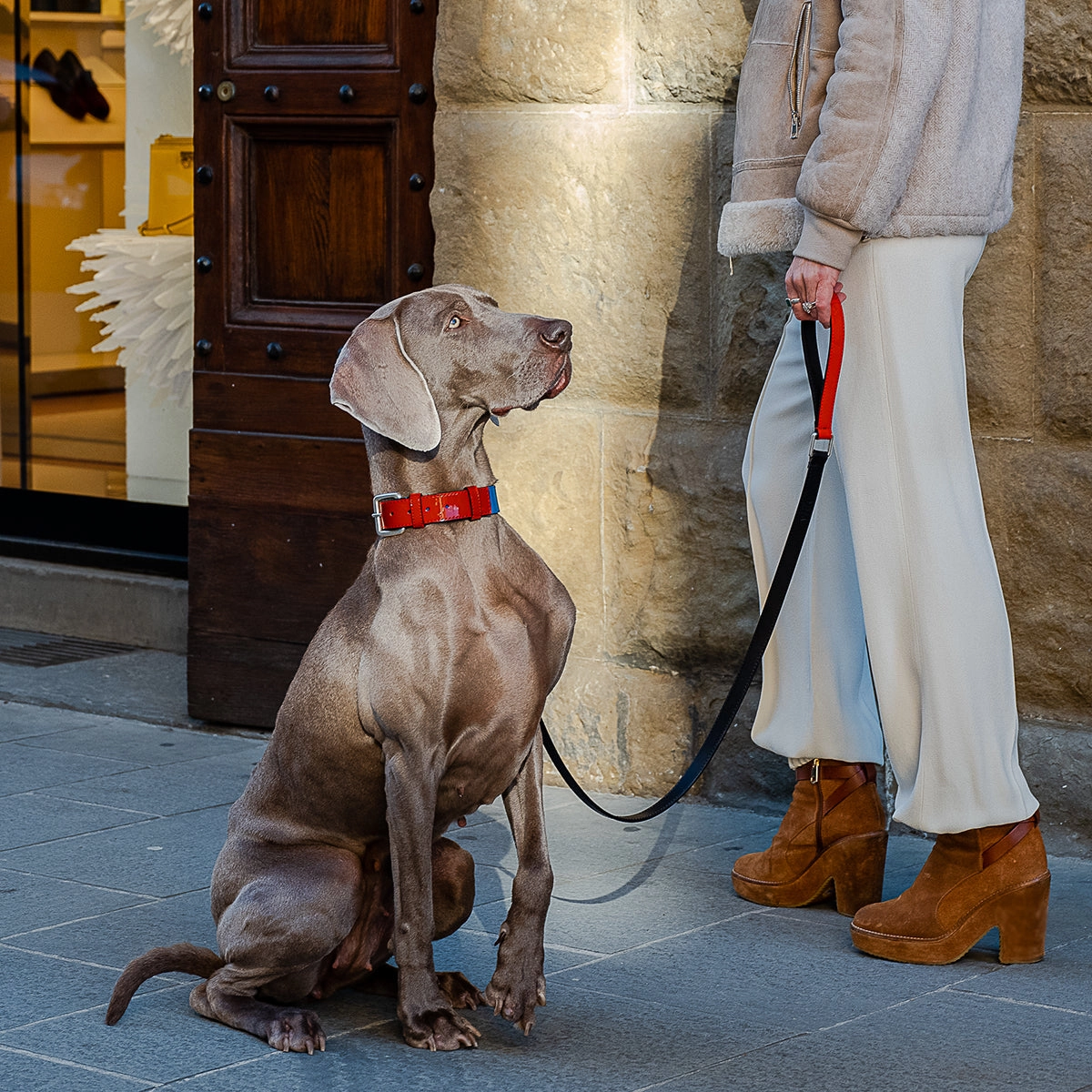 Patent Leather Rugby Dog Leash