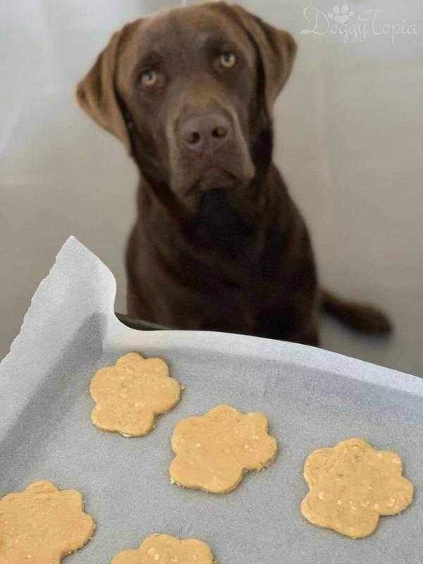 Paw Cookie Cutter Set