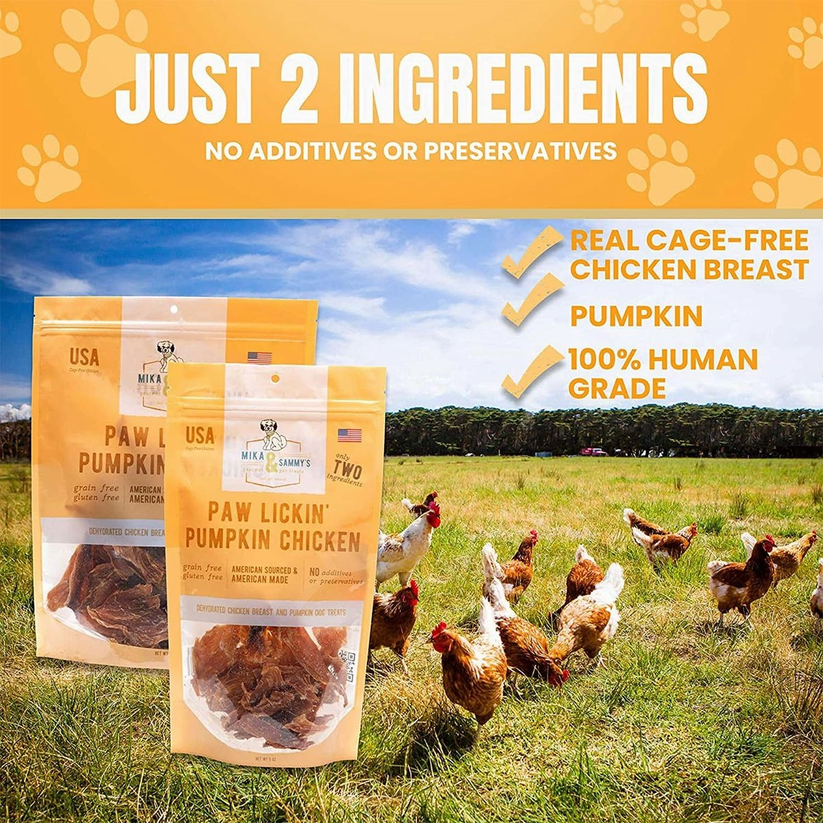 Paw Lickin Pumpkin Chicken Jerky Dog Treats