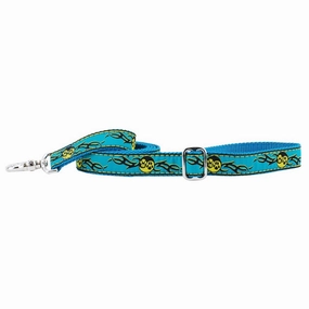 Paw Yang Teal Dog Leash