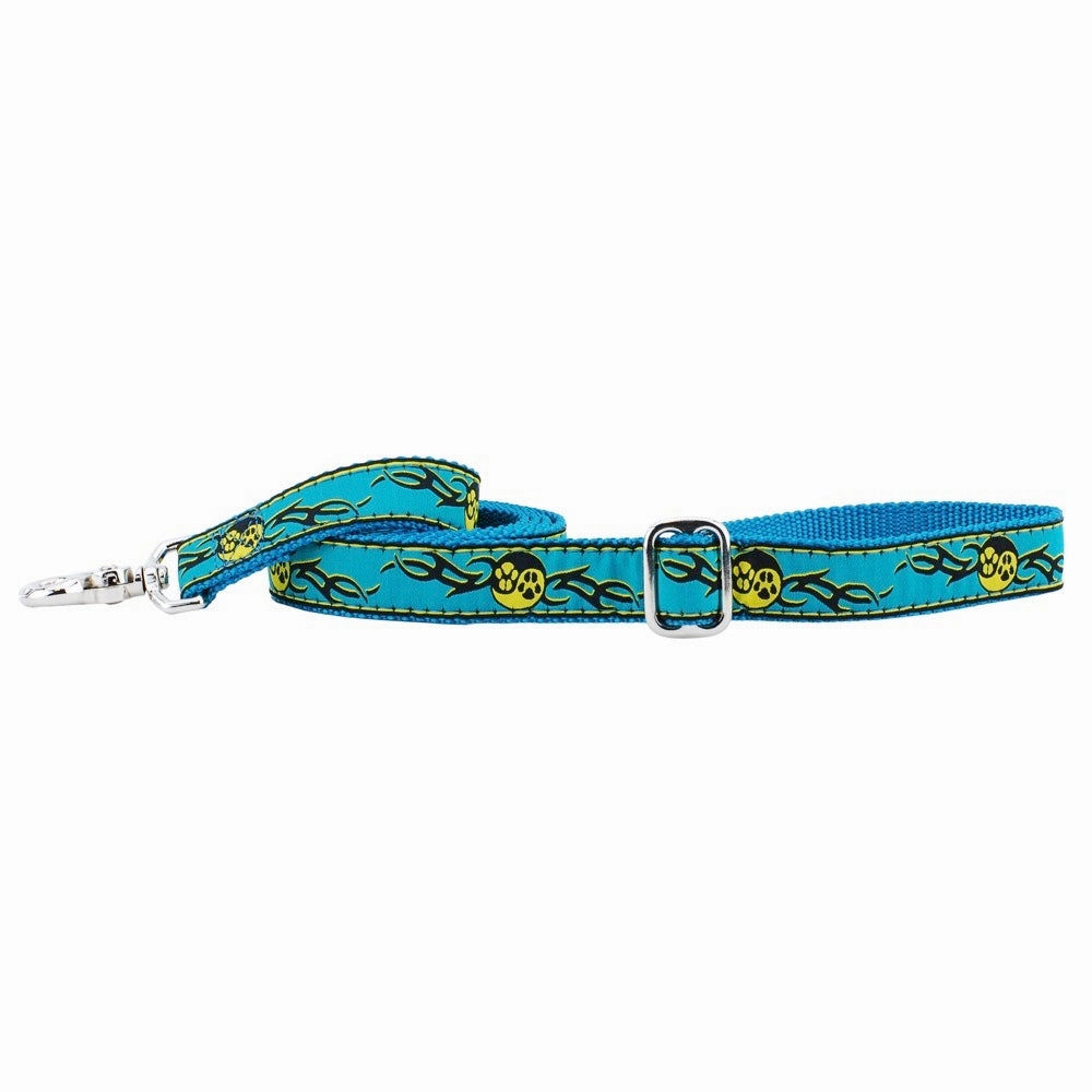 Paw Yang Teal Essential 1" Dog Collar