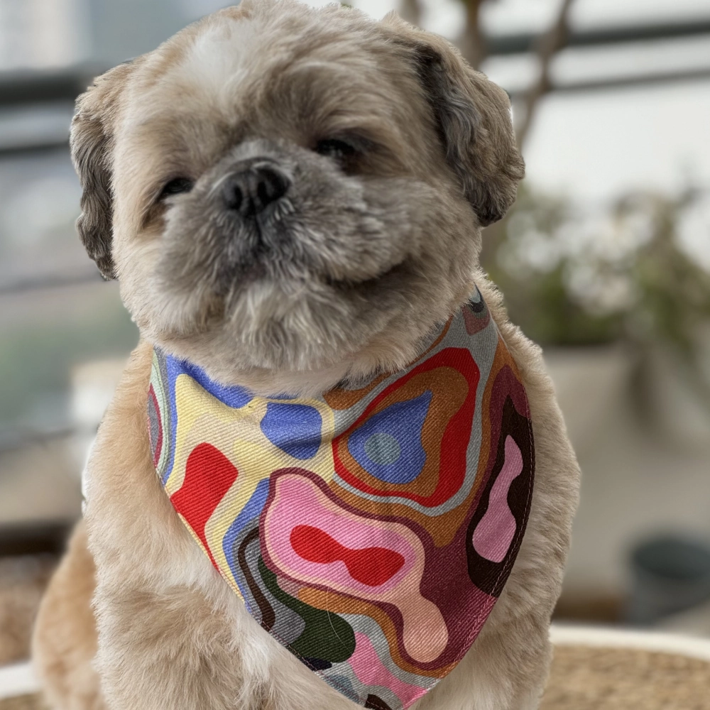 Pawgypets Bandana for Dogs and Cats (Multi Color)