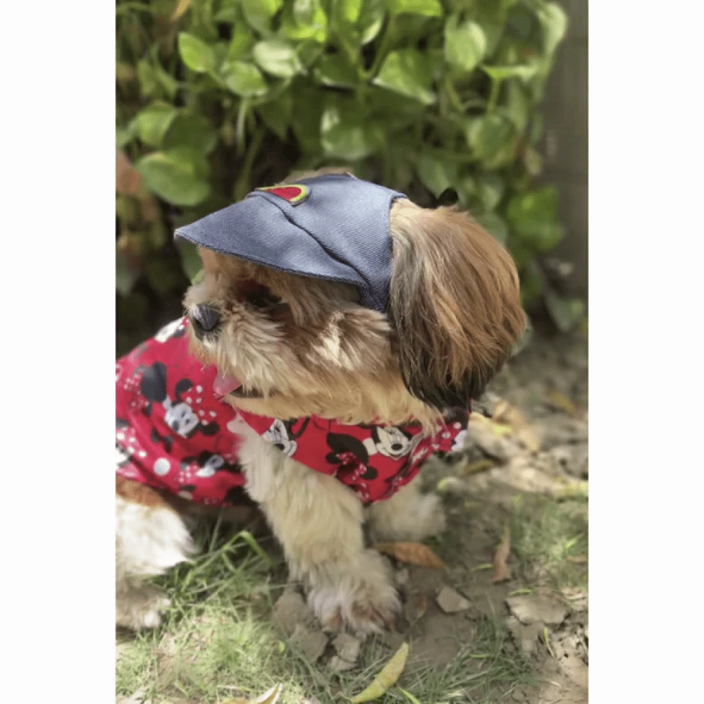 Pawgypets Cap for Dogs and Cats (Denim)