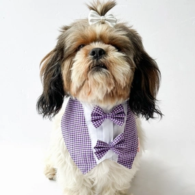 Pawgypets Casual Check Bandana for Dogs and Cats (Purple)