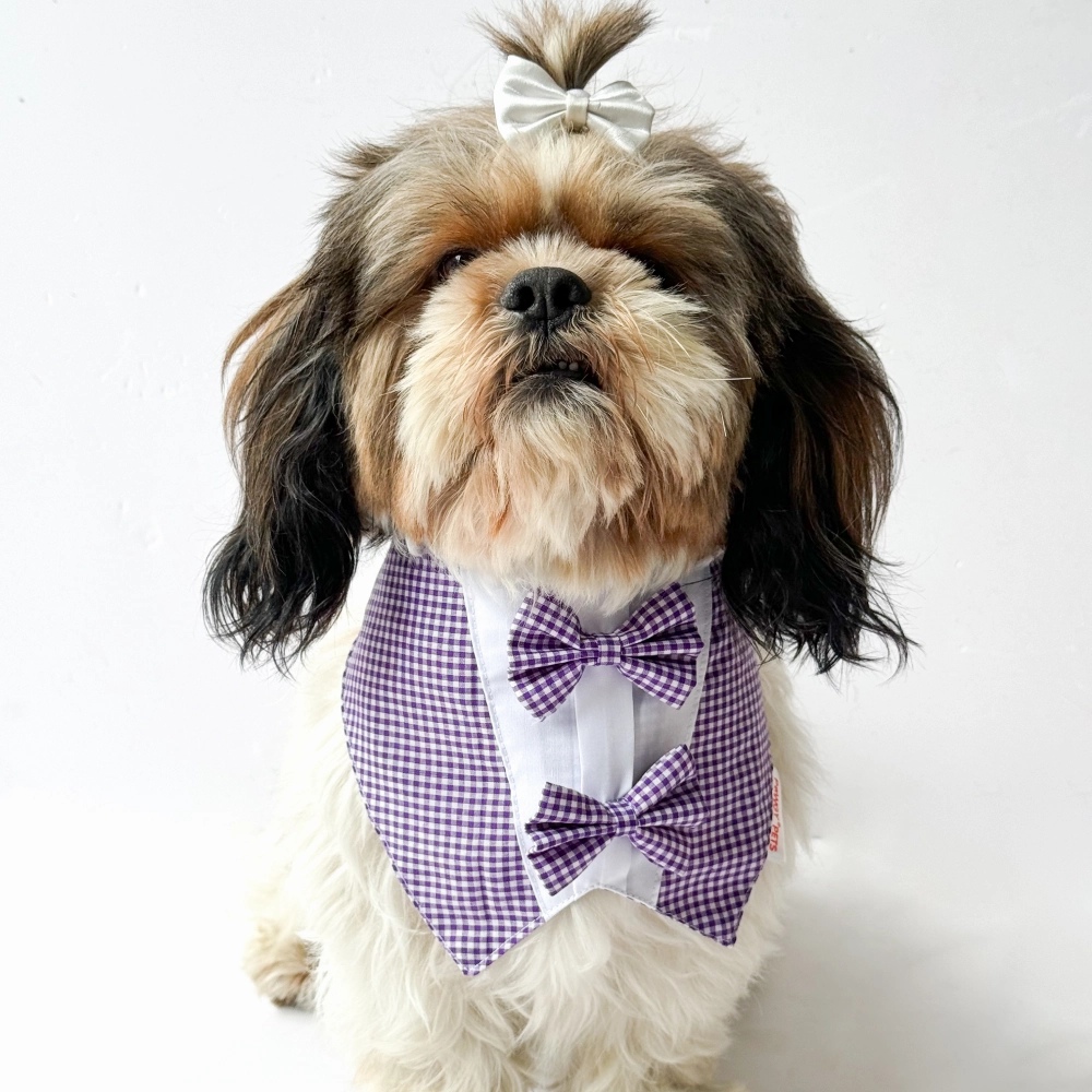 Pawgypets Casual Check Bandana for Dogs and Cats (Purple)