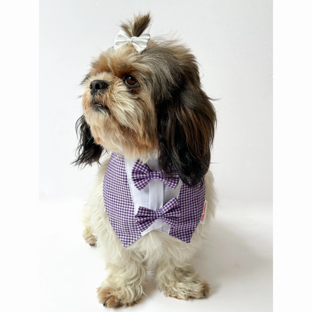 Pawgypets Casual Check Bandana for Dogs and Cats (Purple)