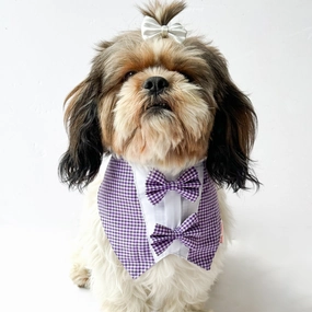 Pawgypets Casual Check Bandana for Dogs and Cats (Purple)
