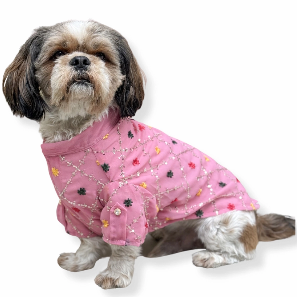 Pawgypets Festive Shirt for Dogs and Cats (Pink)