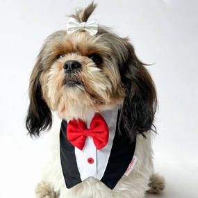 Pawgypets Formal Tux Bandana for Dogs and Cats (Black)