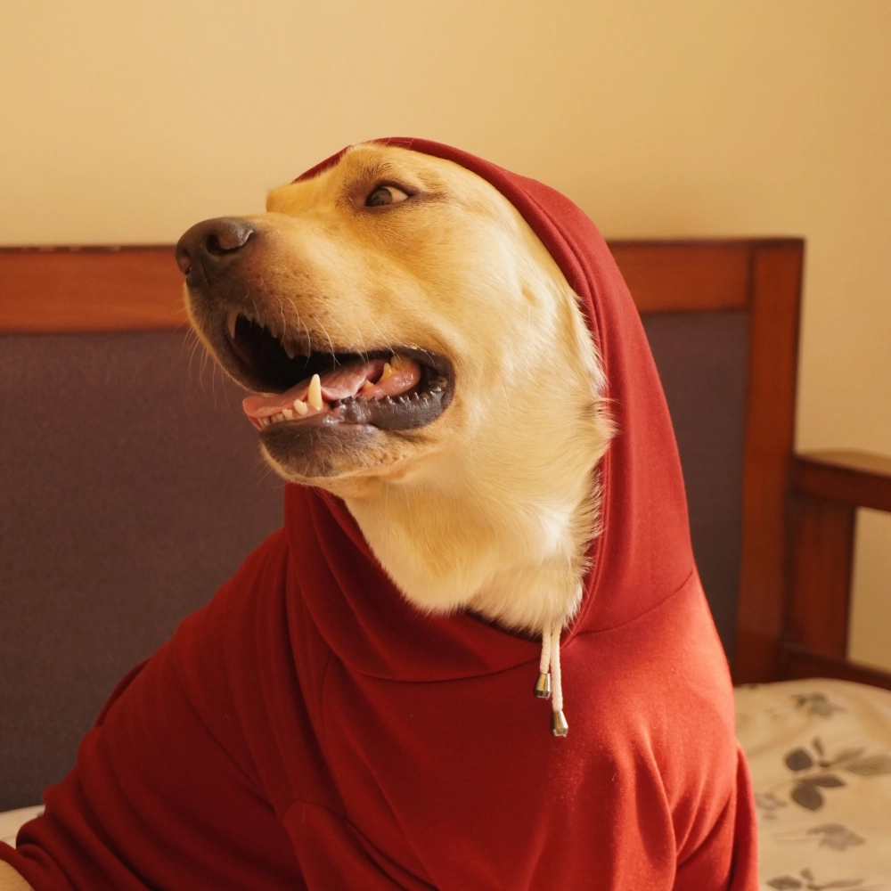 Pawgypets Heart Hoodie Sweatshirt for Dogs and Cats (Maroon)