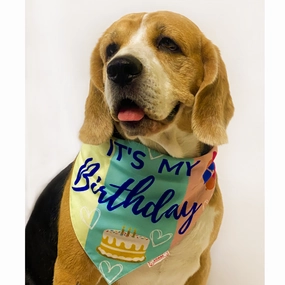 Pawgypets It??s My Birthday Bandana for Dogs and Cats