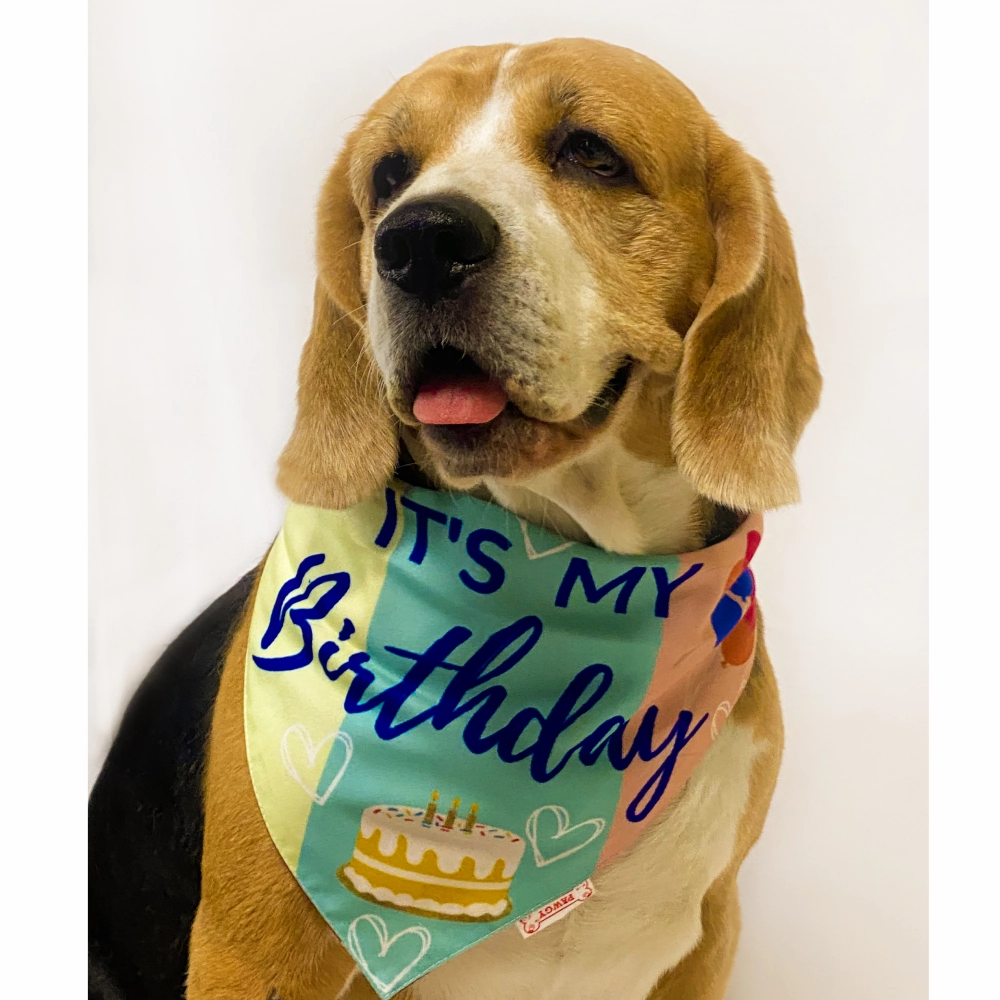 Pawgypets It??s My Birthday Bandana for Dogs and Cats