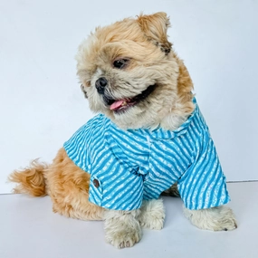 Pawgypets Lehriya Kurta for Dogs and Cats (Blue)