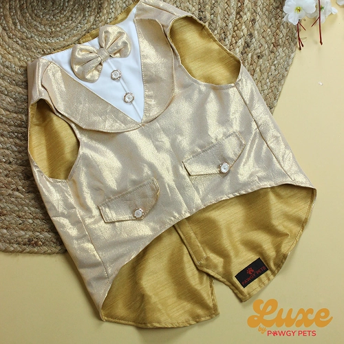 Pawgypets Lux Tuxedo for Dogs and Cats (Gold)