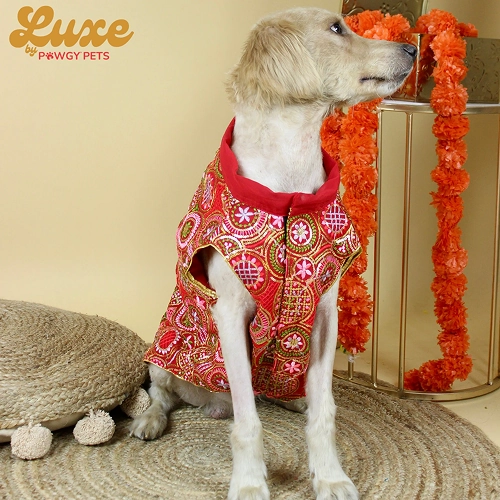 Pawgypets Luxe Embroidered Kurta for Dogs and Cats (Red)