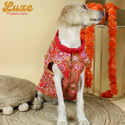 Pawgypets Luxe Embroidered Kurta for Dogs and Cats (Red)