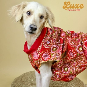 Pawgypets Luxe Embroidered Kurta for Dogs and Cats (Red)