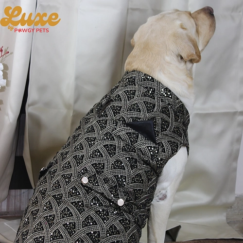 Pawgypets Luxe Embroidered Velvet Sherwani for Dogs and Cats (Black)