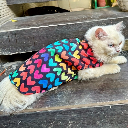 Pawgypets Multi Heart Sando for Cats (Multi Colour)