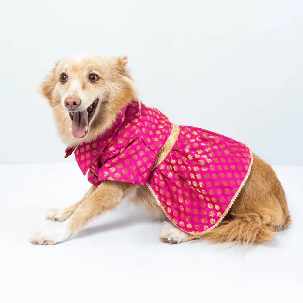 Pawgypets Occasion Wear Dress for Dogs and Cats (Pink)