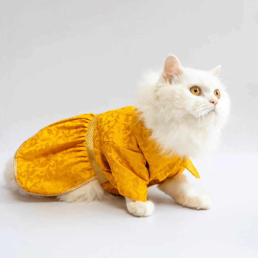 Pawgypets Occasion Wear Dress for Dogs and Cats (Yellow)