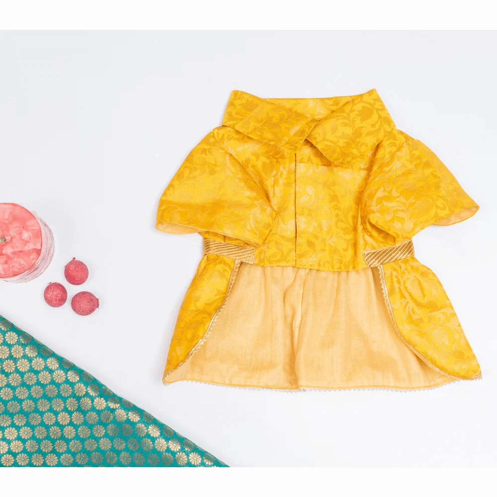 Pawgypets Occasion Wear Dress for Dogs and Cats (Yellow)