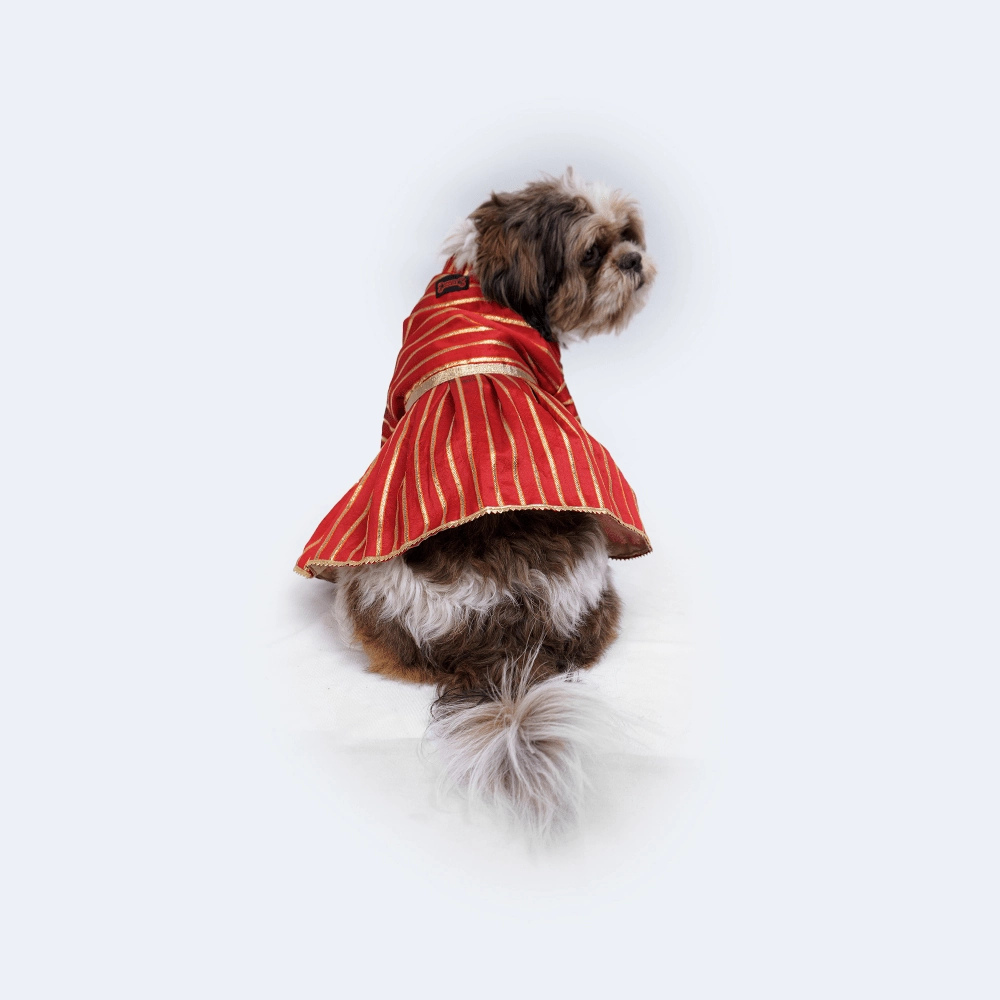 Pawgypets Occasion Wear Gota Dress for Dogs and Cats (Red)