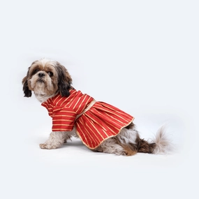 Pawgypets Occasion Wear Gota Dress for Dogs and Cats (Red)