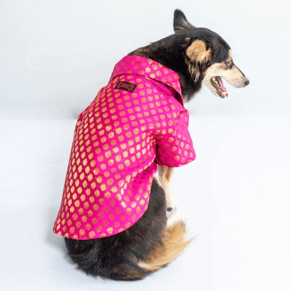 Pawgypets Occasion Wear Shirt for Dogs and Cats (Pink)